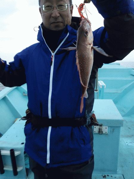 12月18日（水）　　青物不調マダイ狙へ。画像