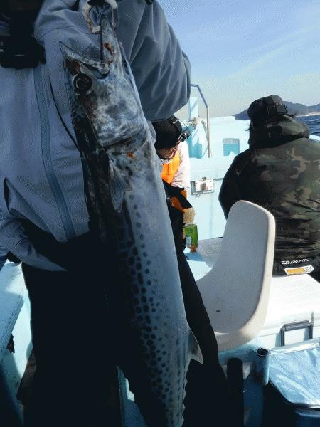 12月21日（土）　困った日でした。画像