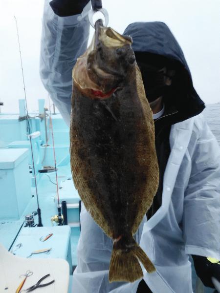 2月16日(日) 良いサイズのヒラメ画像