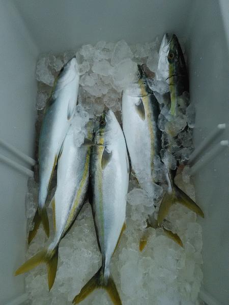 2月29日(土) 大物狙い。画像