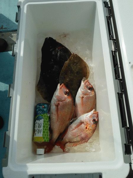 3月15日(日) 良い天気でした。画像