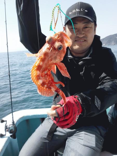 3月21日(土) マダイ・カサゴ お土産出来ました。画像