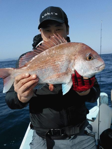 3月21日（土）　マダイ・カサゴ　お土産出来ました。画像