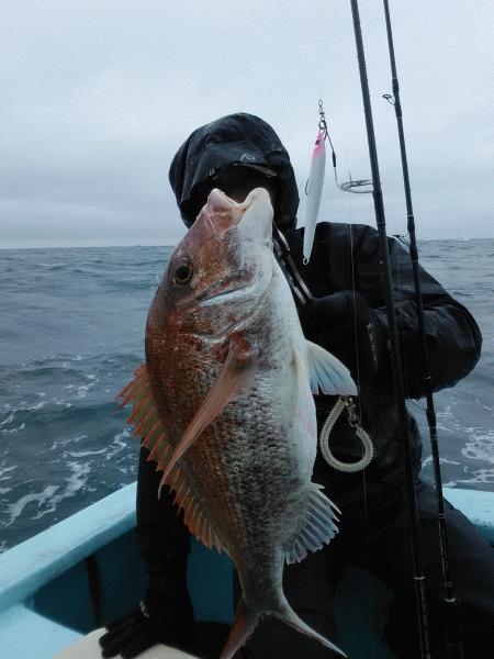 3月29日(日) 強風でした。画像