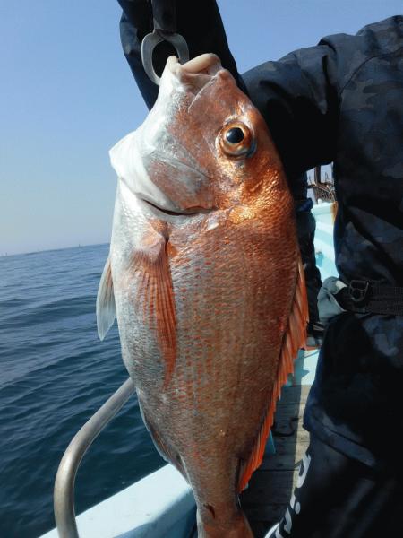 4月4日（土）　桜鯛　サイズも喰いも良かった画像
