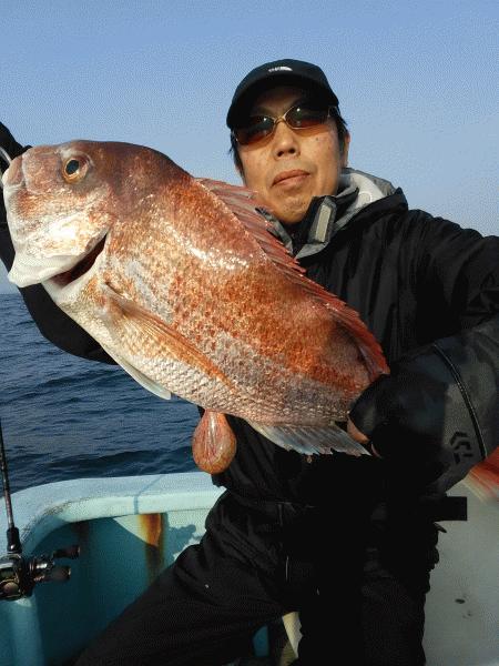 4月4日（土）　桜鯛　サイズも喰いも良かった画像