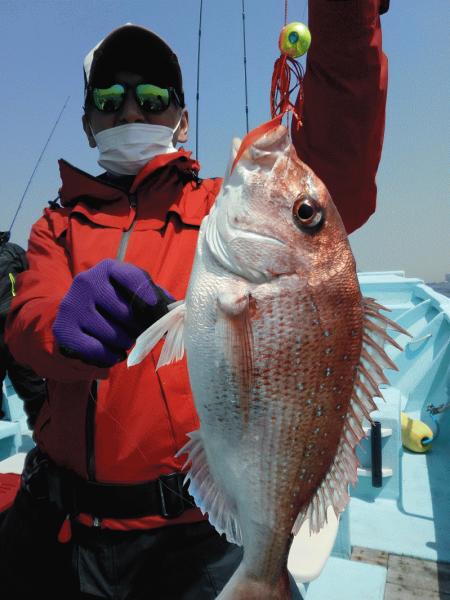 4月8日(水) 本日マダイが一枚画像