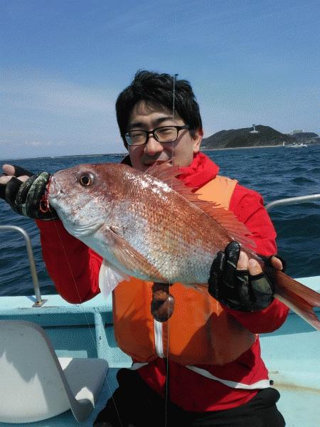 4月11日(土) マダイ、いい感じ。画像