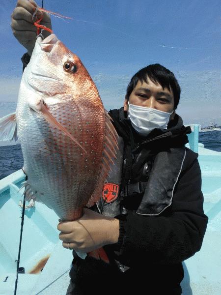 4月11日(土) マダイ、いい感じ。画像