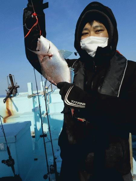 4月11日（土）　　マダイ、いい感じ。画像