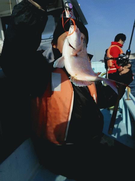 4月11日（土）　　マダイ、いい感じ。画像