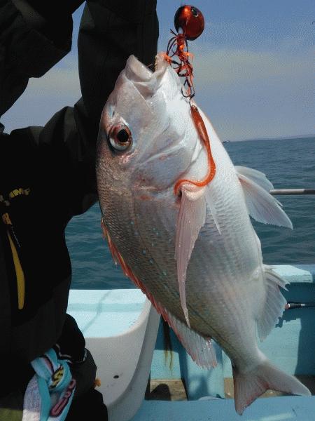 4月15日（水）　　コダイのアタリ無し画像
