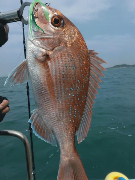 4月15日（水）　　コダイのアタリ無し画像