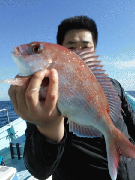 5月17日（日）　　マダイ狙いで画像