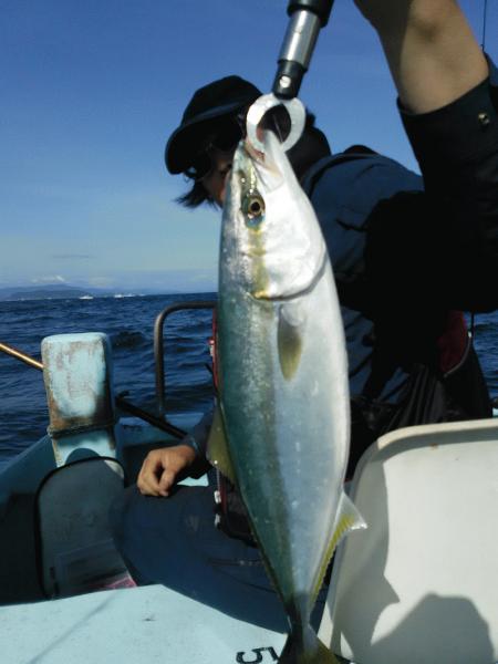 5月17日（日）　　マダイ狙いで画像