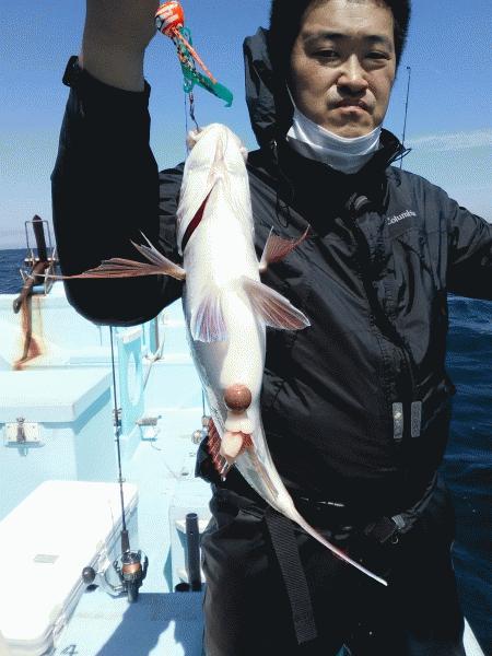 5月17日（日）　　マダイ狙いで画像