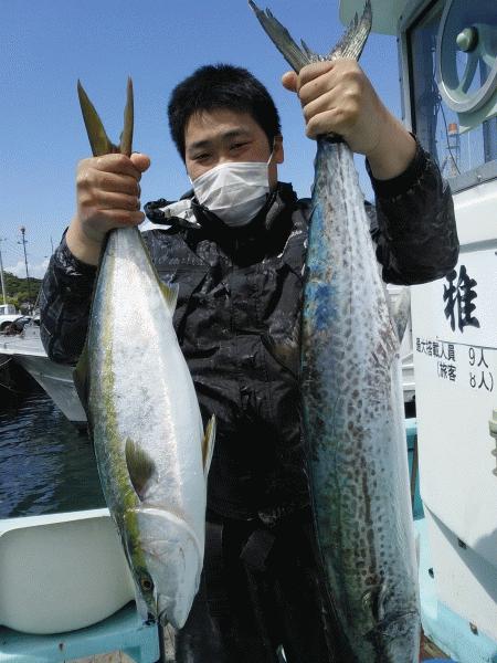 5月20日（水）　　数より良い型サワラ・ワラサ画像