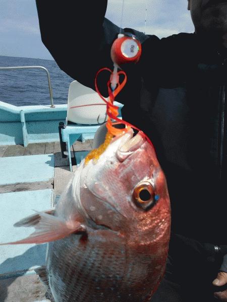 5月23日（土）アタリを期待して　マダイ画像