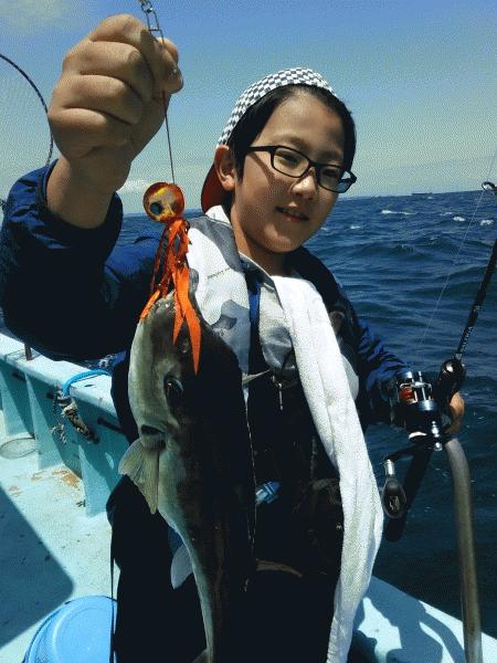 5月24日（日）朝から頑張っていれば　ハマチ・サバフグ画像