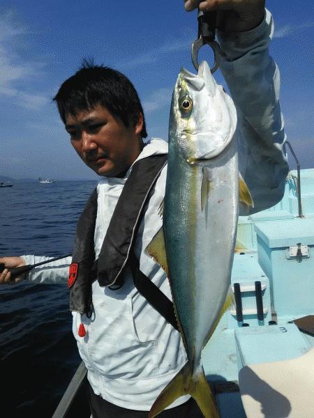 5月30日（土）ぽちぽちでした。マダイ・サワラ・ハマチ・トラフグ・マゴチ画像