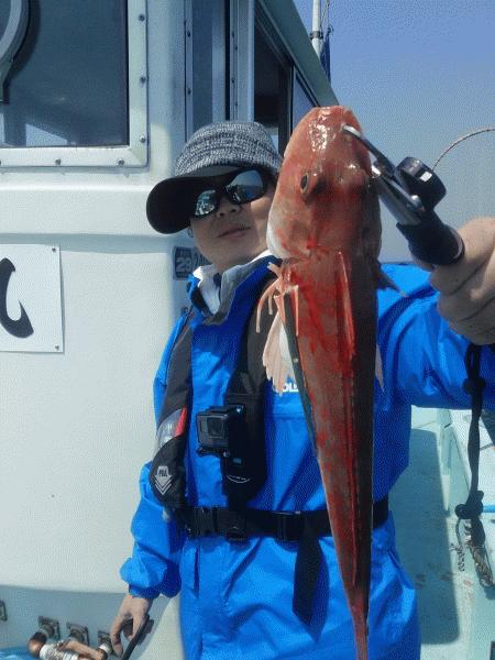 5月1日（金）　釣果クロダイ/ホウボウ画像