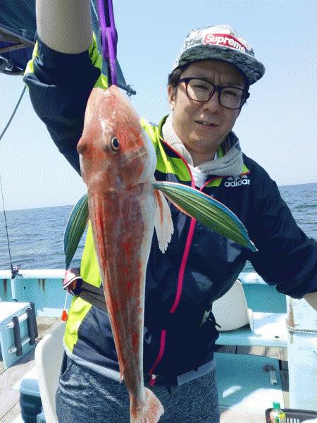 5月1日（金）　釣果クロダイ/ホウボウ画像