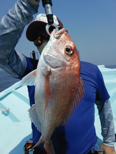 5月2日（土）　　やはりマダイでしょう！画像