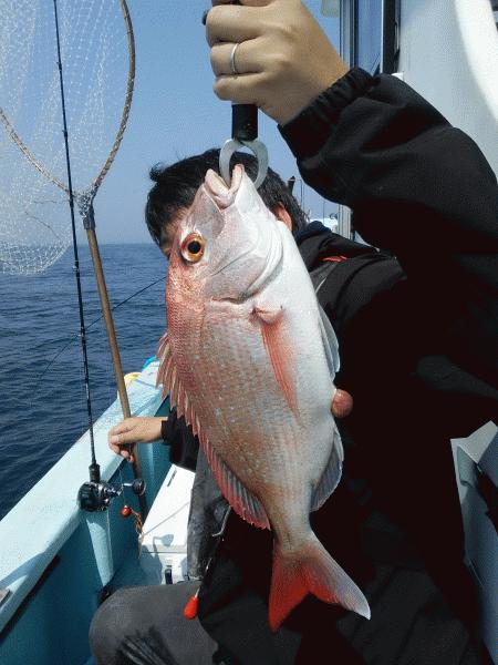 5月2日（土）　　やはりマダイでしょう！画像