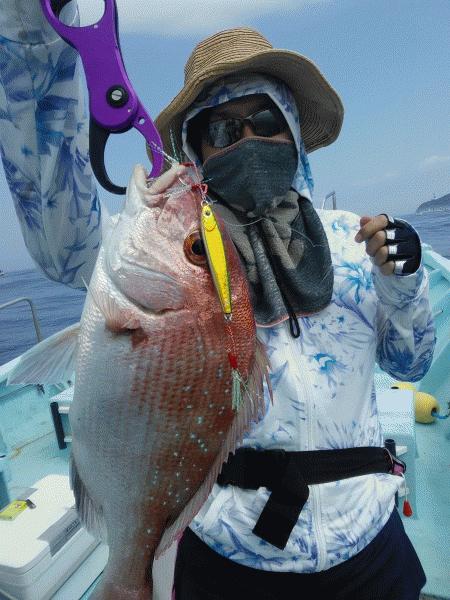 6月2日（火）今日は良い日か悪い日か　マダイ画像