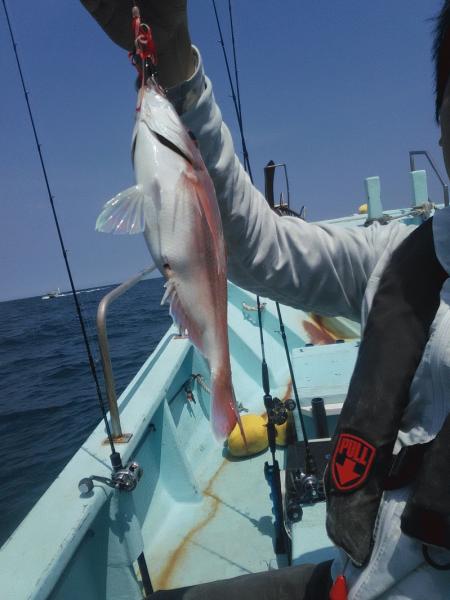 6月7日（日）　悔しい思いを・・マダイ・アイナメ・イネゴチ画像