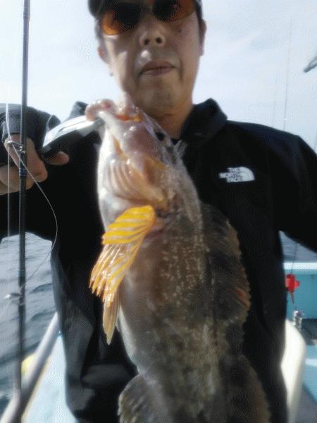 6月7日（日）　悔しい思いを・・マダイ・アイナメ・イネゴチ画像