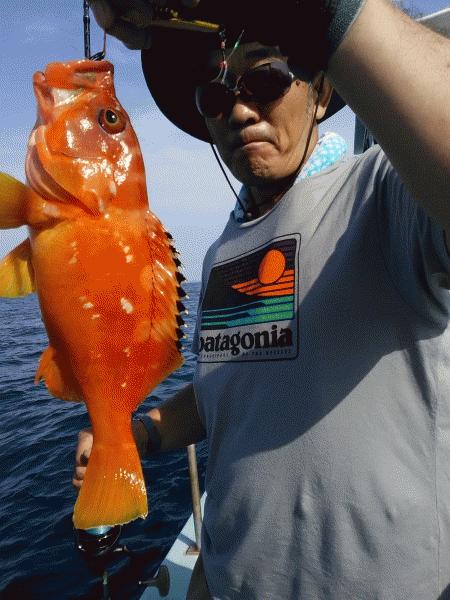 6月27日（土）今日は、ダメな日。画像