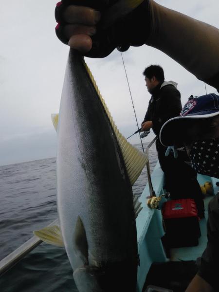 7月5日（日）Good vibes・マダイ・サワラ・タチウオ・サバ・ハマチ画像