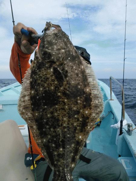 7月18日（土）　午後便（船酔するも）画像