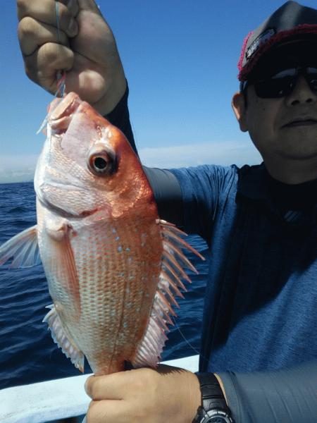 7月18日（土）　午後便（船酔するも）画像