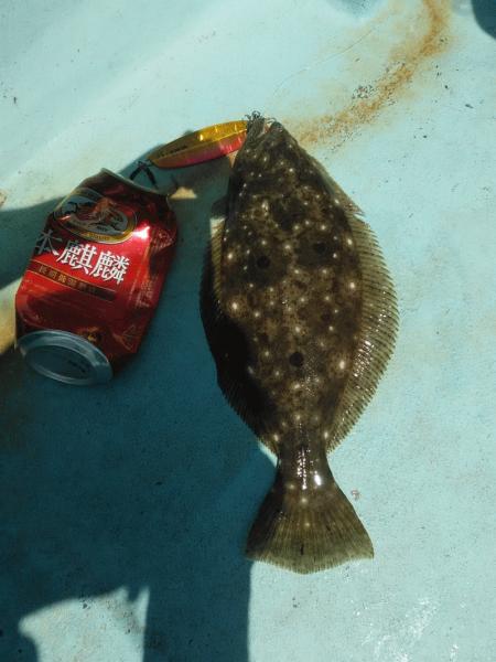 7月19日（日）まずまずの釣果マダイ・ハマチ・ヒラメ画像