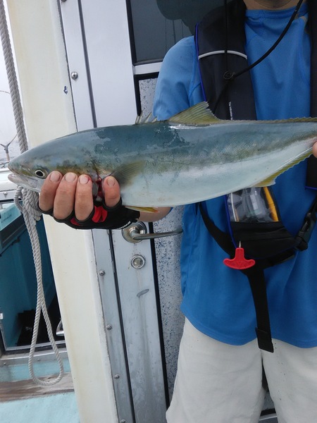 7月5日（日）Good vibes・マダイ・サワラ・タチウオ・サバ・ハマチ画像