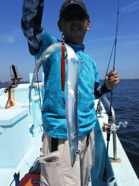 8月1日（土）タチウオの時期になりました。イシモチ・ハマチ画像