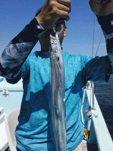 8月1日（土）タチウオの時期になりました。イシモチ・ハマチ画像