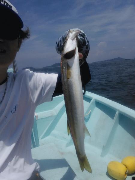 8月2日（日）サイズが小ぶり。サワラ・イシモチ・タチウオ・カマス画像