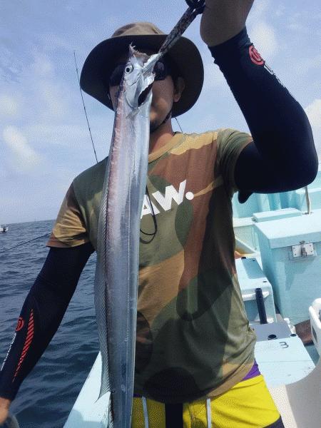 8月2日（日）サイズが小ぶり。サワラ・イシモチ・タチウオ・カマス画像