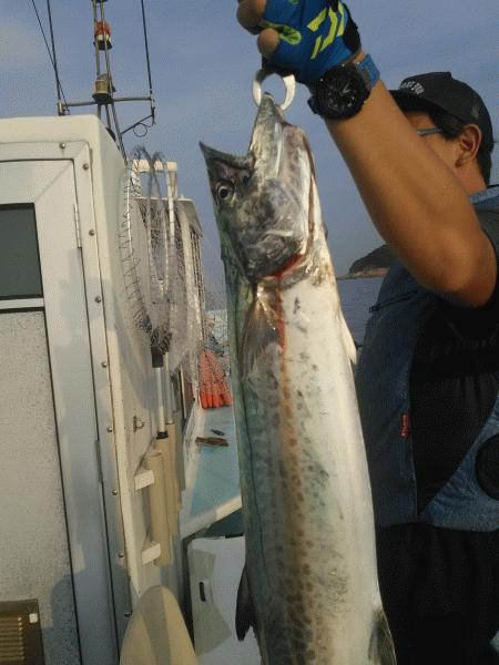 8月9日（日）大漁です！！サワラ・マダイ・ハマチ・カサゴ画像