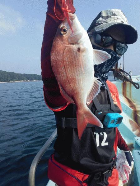 8月9日（日）大漁です！！サワラ・マダイ・ハマチ・カサゴ画像