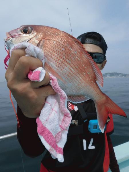8月9日（日）大漁です！！サワラ・マダイ・ハマチ・カサゴ画像