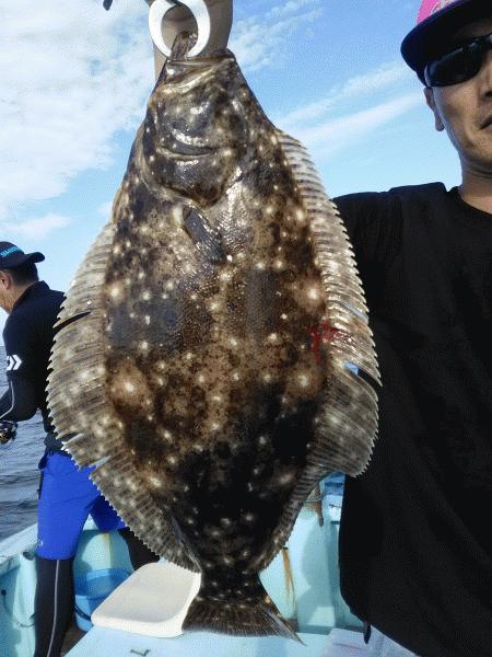 8月13日（木）まずまずの釣果サワラ・ヒラメ・ハマチ画像