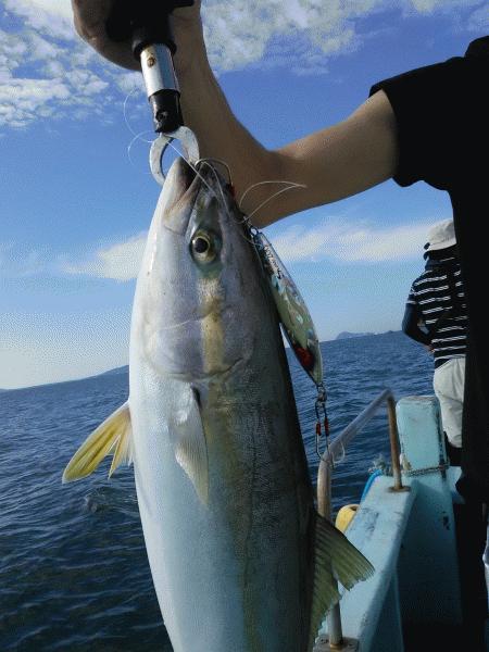 8月13日（木）まずまずの釣果サワラ・ヒラメ・ハマチ画像