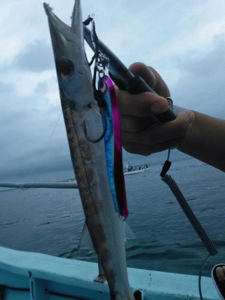 8月23日（日）いろいろ釣れました。ハマチ・ヒラメ・ハモ・カマス画像