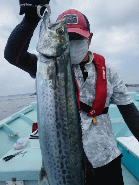 8月26日（水）ポチポチでした！サワラ・マゴチ・カサゴ・ホウボウ画像